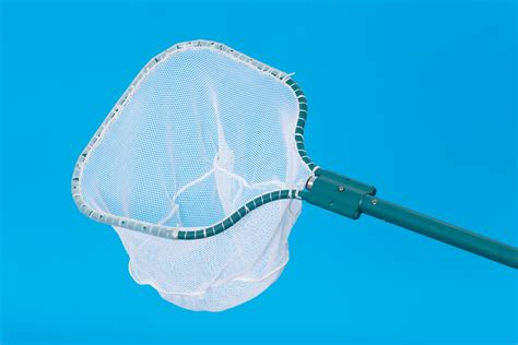 Dip net - Dip nets, also known as scoop nets, are another commonly used type of minnow net. These nets feature a long handle with a mesh net attached at one end. To …